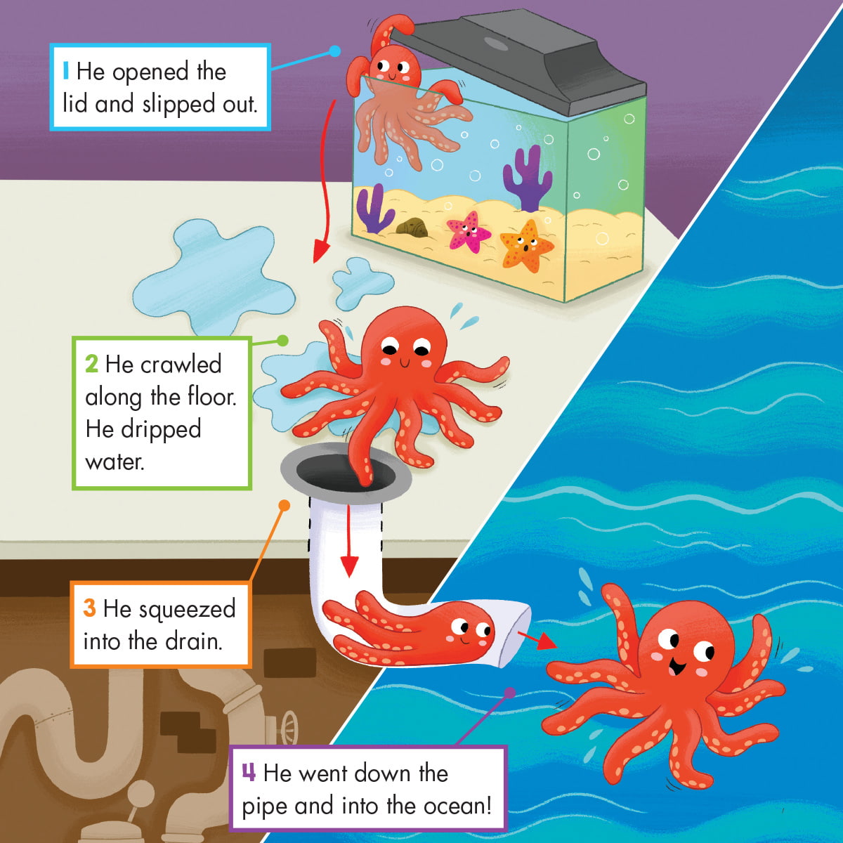 Inky The Great Escape Story The Escape Artist: A True Story Of Octopus ...
