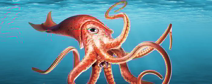A red octopus with curling tentacles swimming underwater