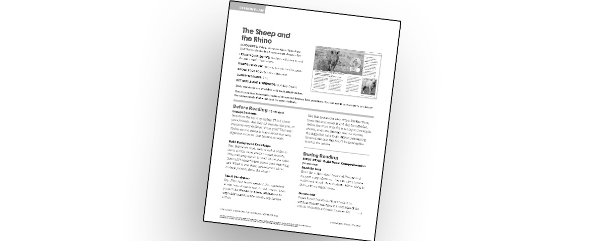 A lesson plan titled The Sheep and the Rhino with sections for before and during reading