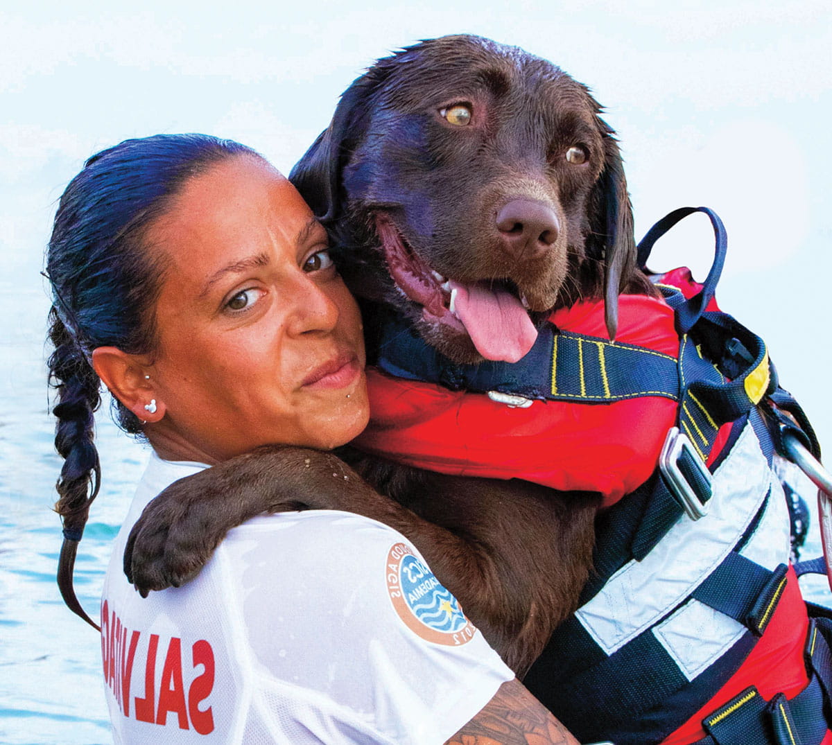 Football Player Dog : r/dogswithjobs